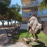 Alma Libre, Planta Baja a Escasos Metros del Mar