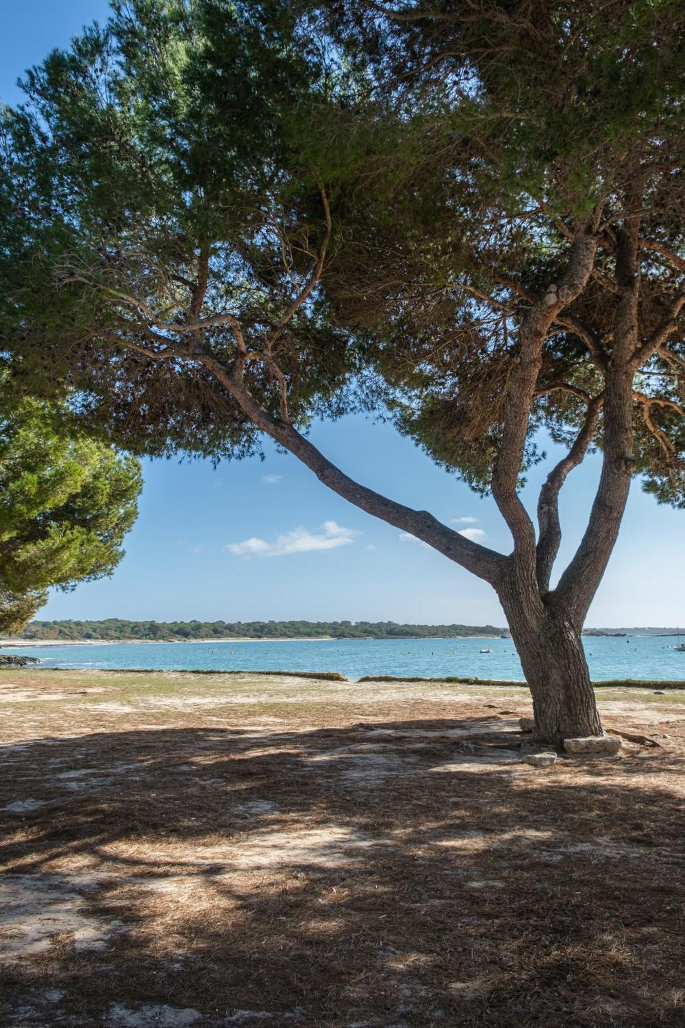 Сasa de vacaciones Alma Libre, Planta Baja A Escasos Metros Del Mar Colonia de Sant Jordi
